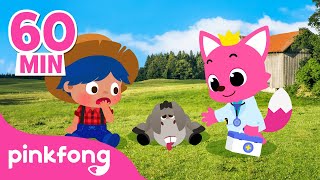A Mi Burro y más canciones infantiles | +Recopilación | Pinkfong Música Infantil