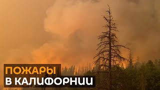 Рекордная жара и лесные пожары: стихия охватила Калифорнию