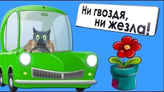 С днём АВТОМОБИЛИСТА ! Всех водителей охотно  поздравляю я сегодня#ВГостяхУВолка