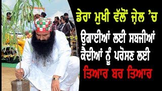 5-12-17: Jail vich Band ਡੇਰਾ ਮੁਖੀ ਵੱਲੋ ਉਗਾਈਆਂ ਸਬਜੀਆ ਕੈਦੀਆਂ ਨੂੰ ਪਰੋਸਣ ਲਈ ਤਿਆਰ