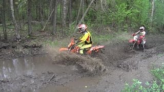 Enduro ride swampy forest