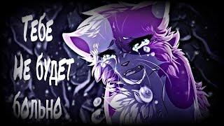 Тебе Не Будет Больно | Warriors Cats ~ Коты Воители | Clip~Клип