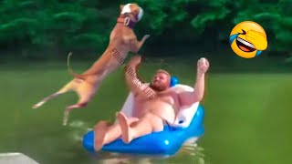 Best Funny Animal Videos 2022 and 2021 - Funniest Dogs And Cats Videos