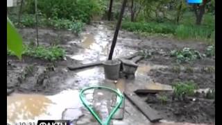 Под Краснодаром с неба падала рыба