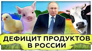 Дефицит продуктов в России | Импортозамещение | Выход на международный рынок 