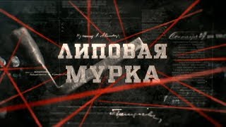 Липовая мурка | Вещдок