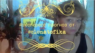 #elenatofika #таро #экспресс #прогноз КАКИЕ ОТНОШЕНИЯ СЕЙЧАС, КАК БУДУТ РАЗВИВАТЬСЯ 4 ВАРИАНТА