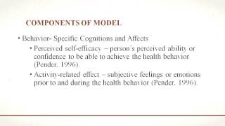 Nola Pender Health Promotion Model