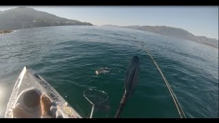 Robalo Grande - Angra dos Reis - Pesca de Caiaque - Kayak Fishing - Portella