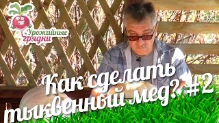 Как сделать тыквенный мед #2 urozhainye_gryadki