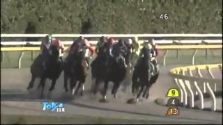 2013年第24回根岸ステークス（G3）