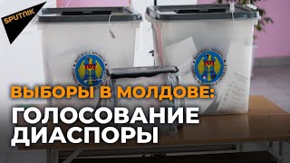 Как голосовала диаспора на досрочных парламентских выборах в Молдове