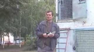 ГНЧ2002_Пакистанские высоколётные голуби