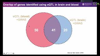 CGM第73期 整合多组学数据解析人类复杂性状和疾病的遗传机制
