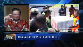 Fadel Muhammad: Ada 3 Celah Di Kasus Ekspor Benih Lobster
