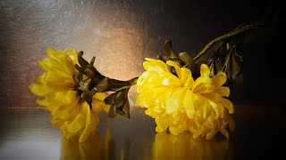 ХРИЗАНТЕМЫ из лент (мастер-класс), КАНЗАШИ,/ DIY ORGANZA Kanzashi