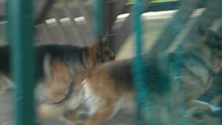 Photo 010