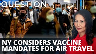 NY lawmakers consider vaccine mandates for air travel