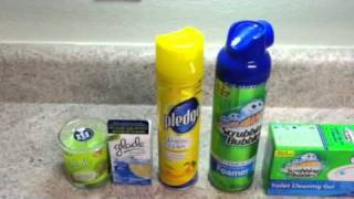 Bzz Campaign: SC Johnson Spring Cleaning