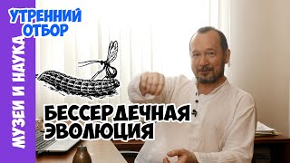 Атака клонов: оса-наездник. Игорь Фадеев.