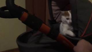 Baby defender