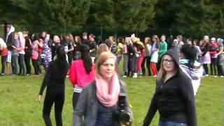 TÕG ökulite ristimine 2011
