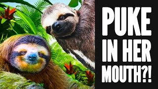 6 Crazy Things Animals Do Before Sex