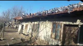 În vizită la vecinul meu- Porumbei Voiajori