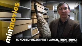 Homosexual Necrophilia in the Mallard Duck - Minimovies: Ig Nobel Prizes (Ep. 1/6)