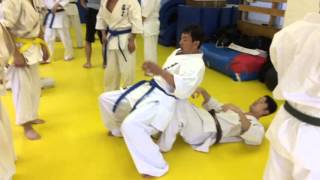 Stræk Japanese Style V. Tsukamoto Dojo