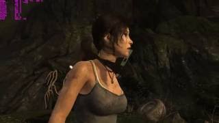 FX8350 - GTX1070 TOMB RAIDER (2013) PC BENCHMARK