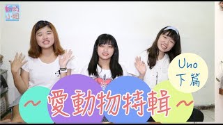 鬆獅犬－Uno 下篇
