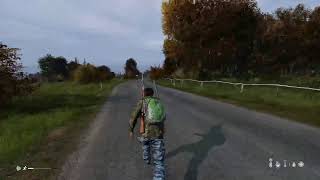 DayZ 1.05 дюп