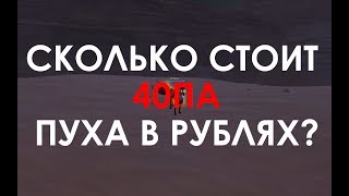 Сколько стоит 40ПА пуха в РУБЛЯХ?