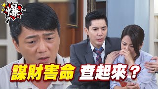 《多情大爆爆》多情城市 EP246 謀財害命 查起來？