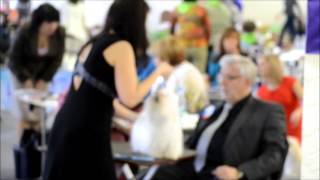 Maltese GranPrix 02.05.2015 S.Peterburg