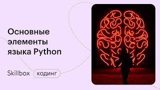 С чего начать программирование на Python? Интенсив по мессенджеру на Python