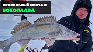 ПРАВИЛЬНЫЙ МОНТАЖ БОКОПЛАВА. Где искать судака зимой.  Секреты ловли на бокоплав. Kamfish