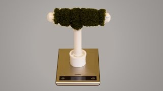 Falconry Scale Basics and How to Make One
