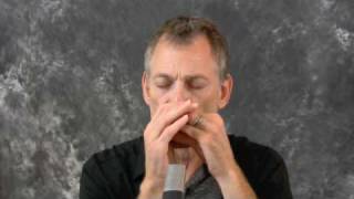 Harmonica Jazz with Sandy Weltman Video