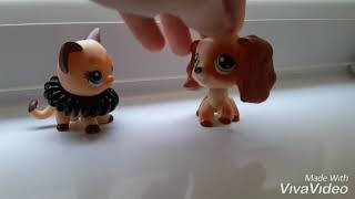 Lps randimnass