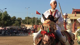 تبوريدة زاوية الشيخ 2019  Zaouiat Cheikh Tbourida | خيول بربرية عربية و موسيقى امازيغية