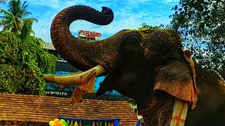 വില്ലനു വമ്പൻ സ്വീകരണം ||chulliparambil Vishnu || - Amballur vadakkumury ടെ വക