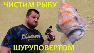 Чистим рыбу шуруповертом!