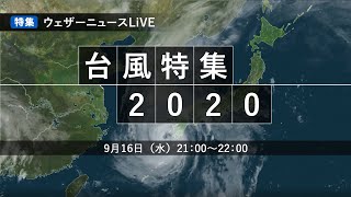 ウェザーニュース LiVE〜台風特集2020〜