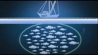 Reform of the Common Fisheries Policy
