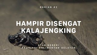 GUNUNG HALAU HALAU - Atap Negeri Kalimantan Selatan #2