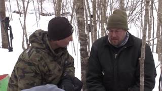 BEAR WEEK: Black bears expanding territory in Minnesota