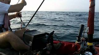 major craft light jigging Israel