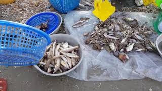 Morning seaside market